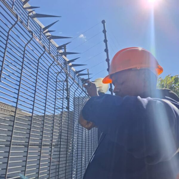 WhatsApp Image 2024 08 28 at 10 14 55 3c03d831