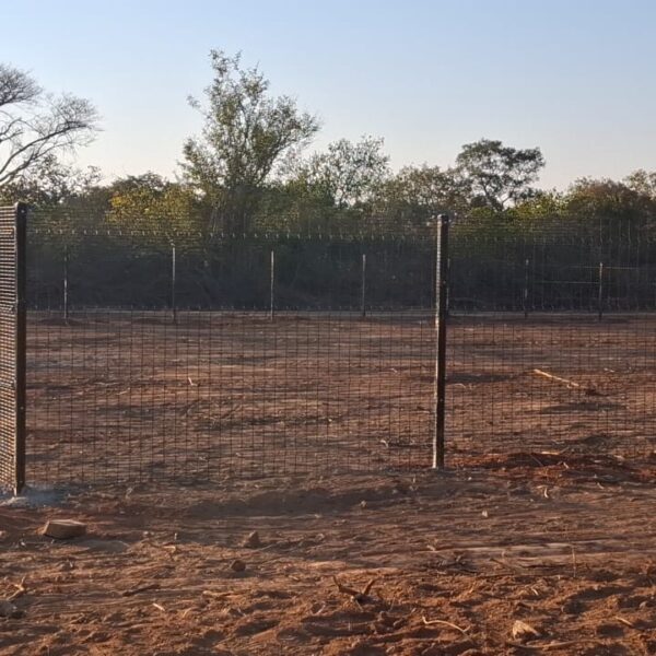 Clearview mesh fence panels and steel posts set in concrete across cleared bushland at Mbalabala
